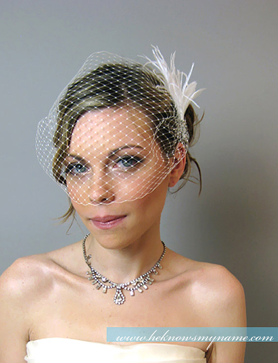 Hochzeit - Weddings Accessories Bridal Birdcage Veil with Feather Spray Headpiece - bridal hair comb, feather, bridal fascinator