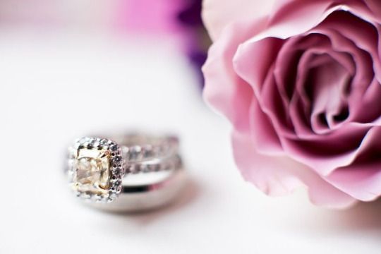Wedding - ♥ The Rose Garden ♥