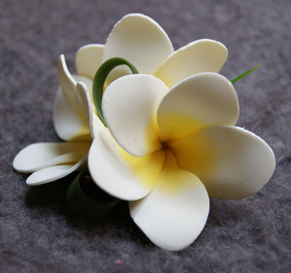 Hochzeit - Tropical Wedding Frangipani Hair Clip or Brooch in choice of Yellow or Pink