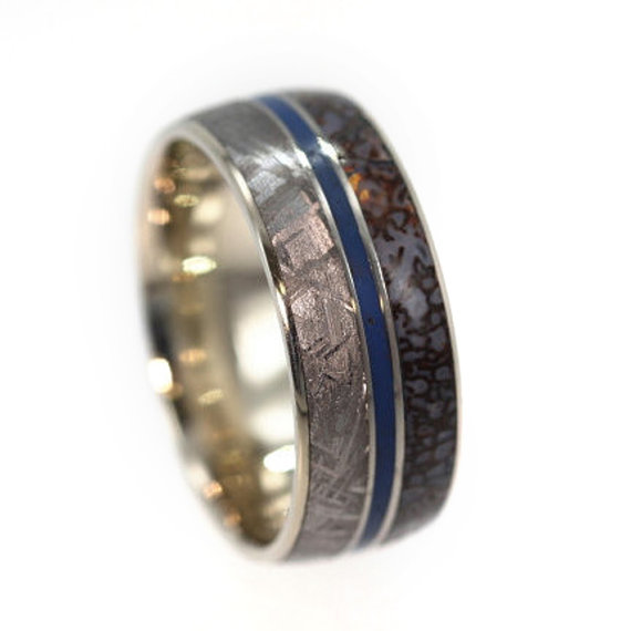 Wedding - Dinosaur Bone Ring, Titanium Band with Gibeon Meteorite, Blue Enamel pinstripe