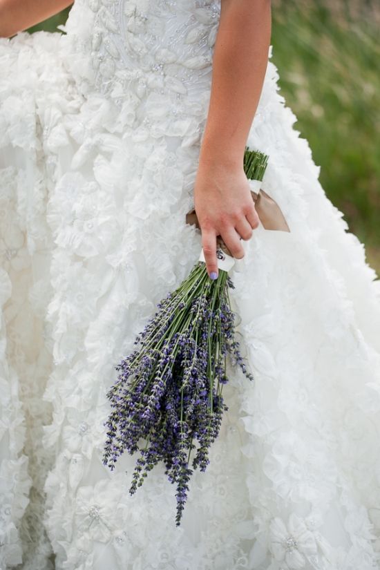 زفاف - Colorado Lavender Wedding