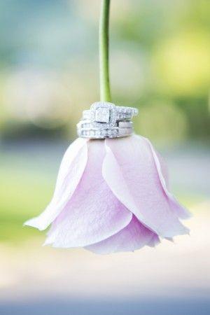 Hochzeit - A Lavish Rose Colored Wedding - Belle The Magazine