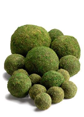 Mariage - All Natural Moss Balls  (4",6" & 8") - Perfect For Rustic Country Weddings