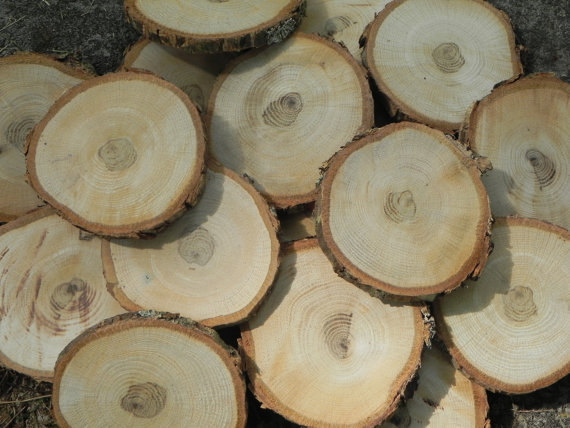 زفاف - set of 16 3" diameter Oak rounds for wedding coasters and derocrations