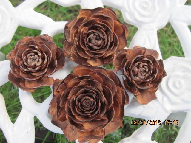 زفاف - 100  Rose Pine Cones or Cedar Rose , From The Deodar Cedar Tree ( Cedrus  Deodar )