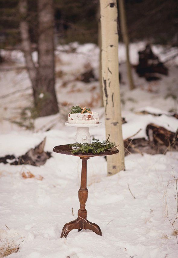 Hochzeit - Snowy Winter Rustic Wedding