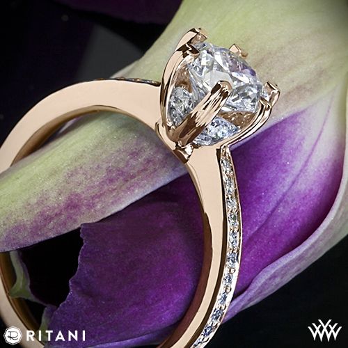 زفاف - 18k Rose Gold Ritani 1RZ3268 6 Prong Solitaire Micropave Diamond Band Engagement Ring