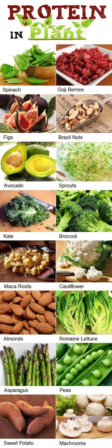 Hochzeit - High Protein Foods List For Vegetarians (Gardening World)