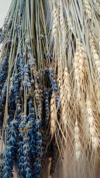 زفاف - 10 BUNCHES - (5) Dried French Lavendar Bunches & (5) Dried Wheat Bundles/Bunches - Perfect for weddings