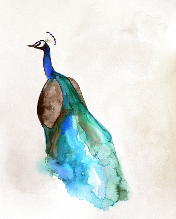 Свадьба - Watercolor Painting - Peacock Art - Bird Painting - 5 X 7 Giclee Print - Watercolor Print