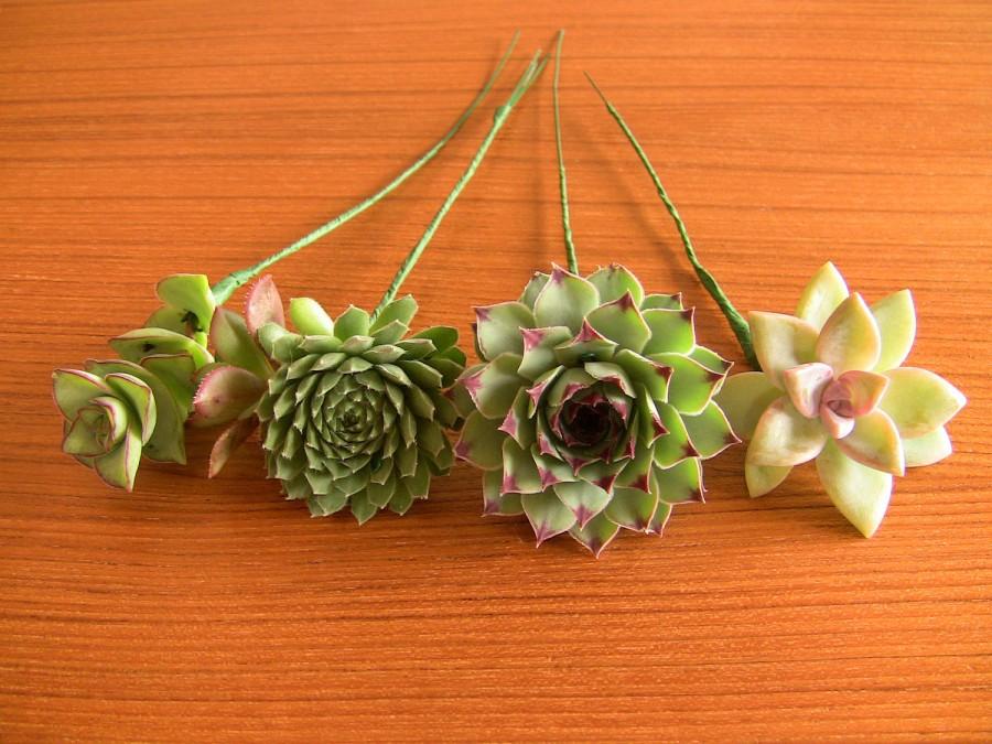 Mariage - 16 Wired Succulents for DIY bouquet