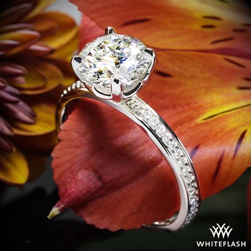 زفاف - Platinum "Legato Micro Pave" Diamond Engagement Ring