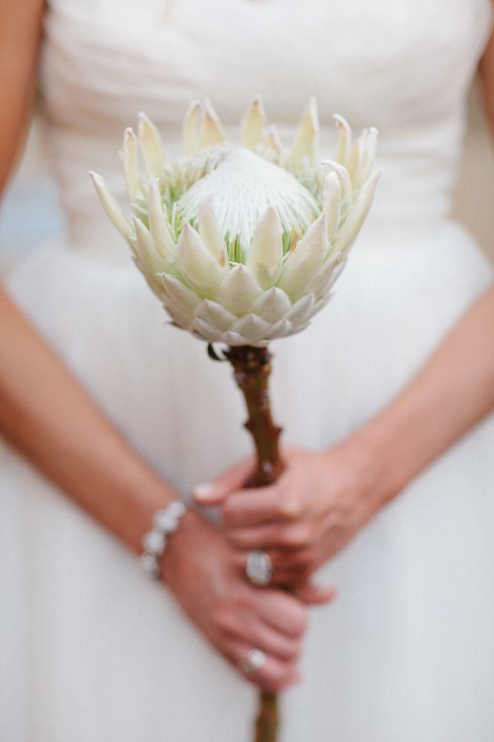 Wedding - Modern Rustic Herb Inspired Wedding Ideas
