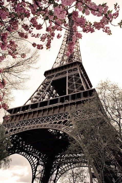 Hochzeit - Paris Travel Guide And Mobile Apps – Guiddoo