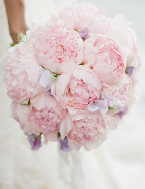 Hochzeit - 花びらいっぱいの芍薬！可愛い見た目に香りも漂う『美人の象徴』愛されブーケ♡