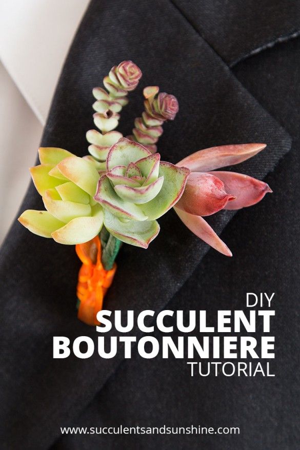 Свадьба - How To Make Succulent Boutonnieres For Your DIY Wedding