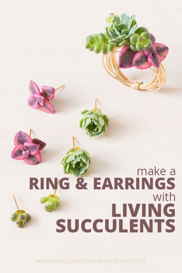 Mariage - Make Your Own Living Succulent Earrings And Ring