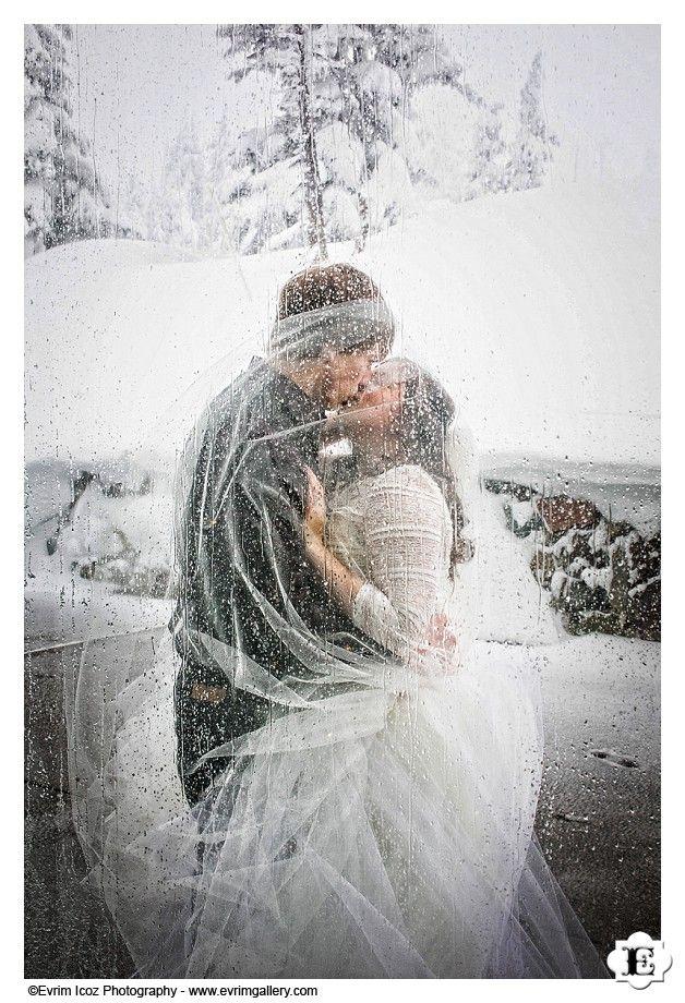 زفاف - Timberline Lodge Winter Wedding