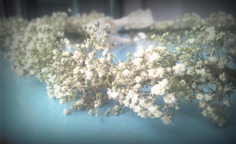 Mariage - baby's breath crown