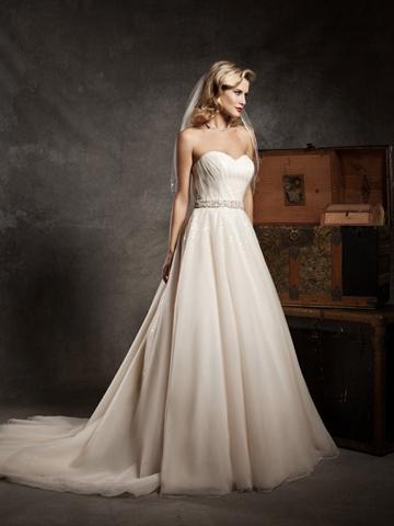 Hochzeit - Champagne/Ivory Strapless Sweetheart Exclusive Wedding Dress Ruched Tulle Sequins