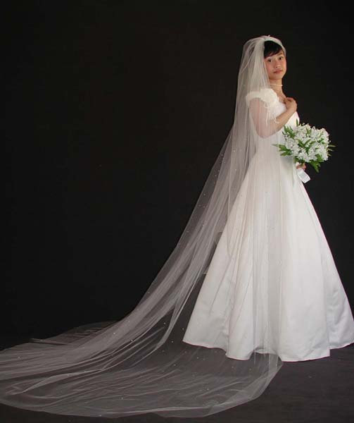 Wedding - Scattered rhinestones veil/ swaroviski crystal veils/cathedral veil