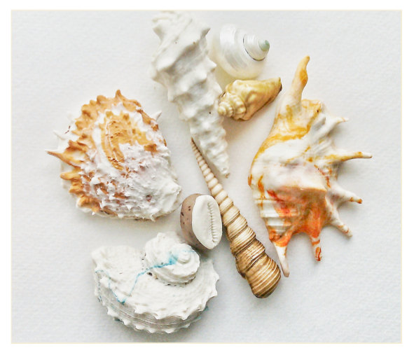Wedding - Edible Chocolate Filled Candy Sea Shells / 8 Piece Box Set - as seen in the New York Times, and featured on Martha Stewart American Made