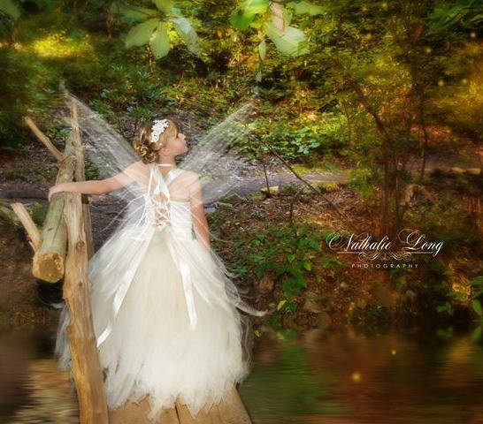 زفاف - Fairy dress/ Garden fairy dress/ Champagne flower girl dress/ Junior bridesmaids dress(many colors available)