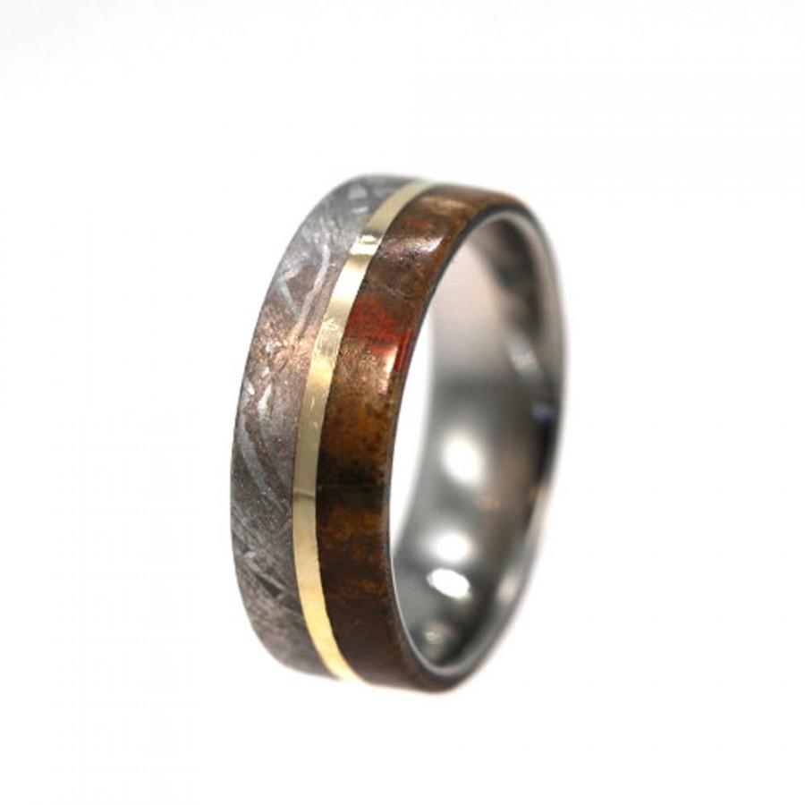 Hochzeit - Meteorite and Dinosaur Bone Ring, Wedding Band or Engagement Ring for Men and Women