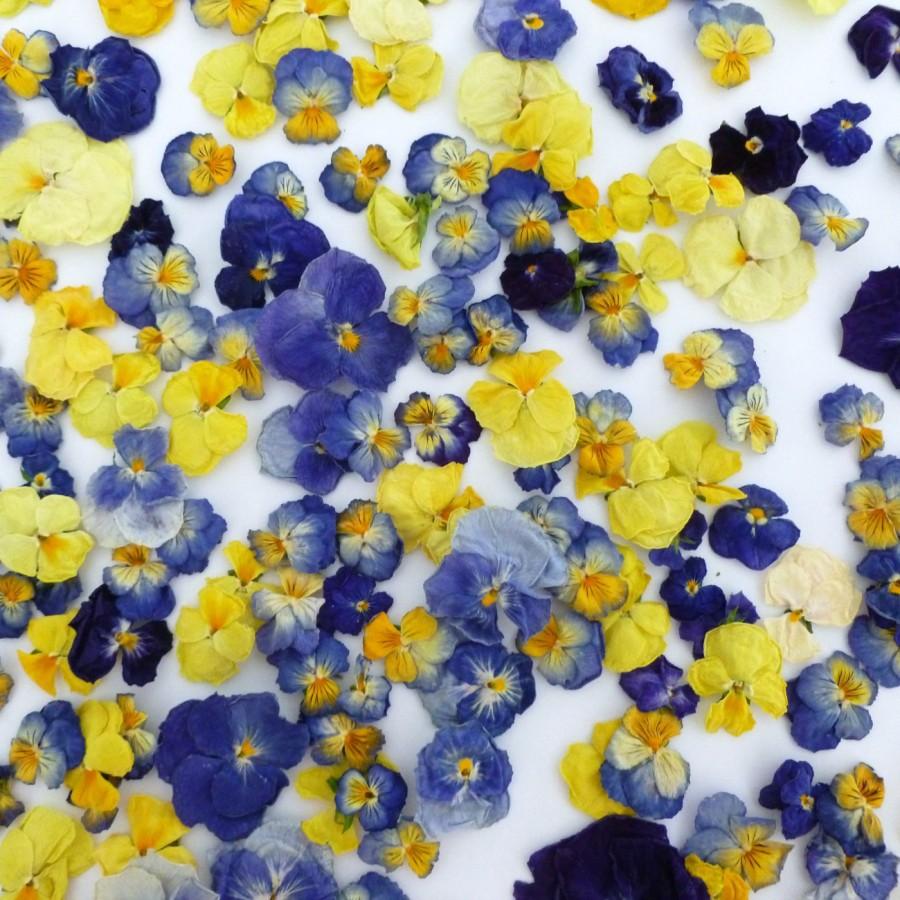 Wedding - Dried Pansy, Cake Topper, Edible Flowers, Supply, Real, Blue, Lemon, Wedding, Dry Flower, Pansy, Petals, Confetti, Food Decoration, Natural