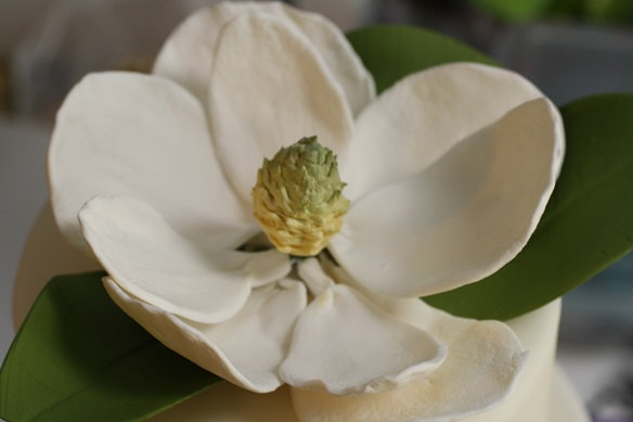 زفاف - Gumpaste Magnolia for Cake Decorating or wedding cake toppers