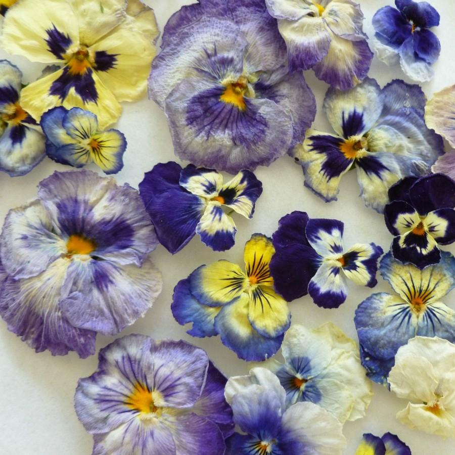 زفاف - Real Pansies, Dry Flowers, Purple, Blue, Flowers, Pansies, Cake Decorations, Table Decor, Craft supplies, Cake Topper, Lavender,Food Decor