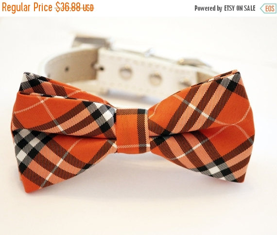 زفاف - Orange Palid Dog Bow tie with High Quality White Leather Collar, Chic Dog Bow tie, Wedding Dog Accessories