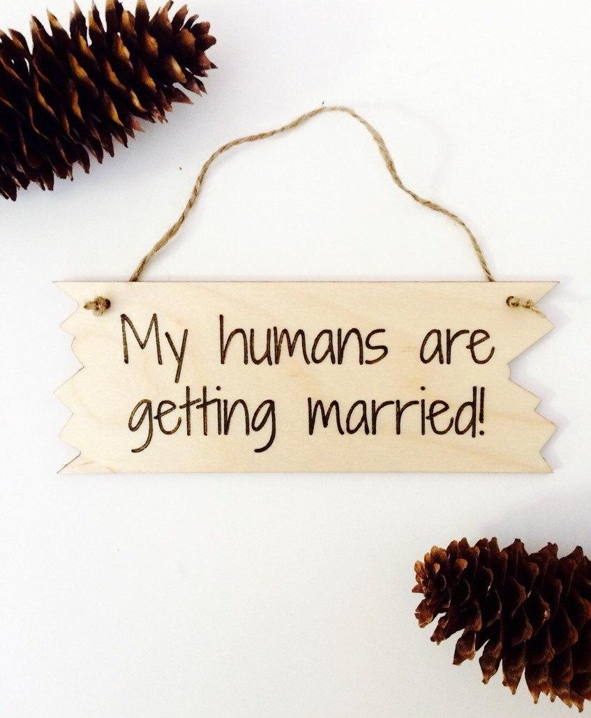 زفاف - wedding or engagement announcement dog wedding sign photo prop