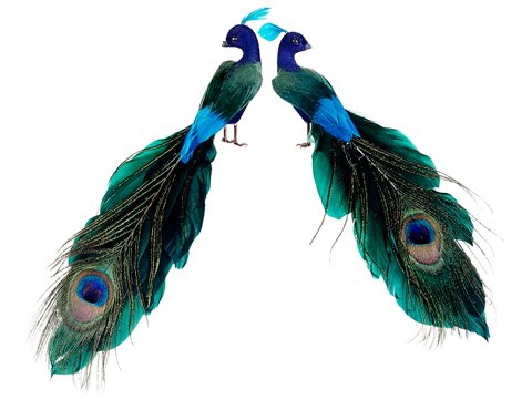 Wedding - Set of 2 Regal Peacock Colorful Closed-Tail Birds