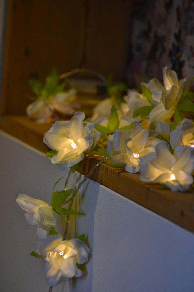 زفاف - NEW! 20 Ivory cream LED Battery Rose Flower Fairy string Lights, Clear Cable bedroom decoration, wedding centerpiece, girl birthday gift