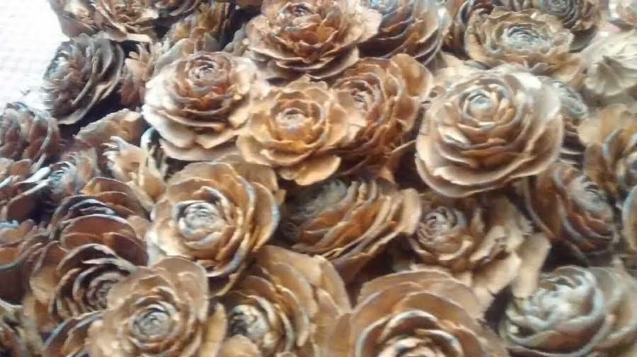 زفاف - Cedar Rose Pinecones (single heads)  - Perfect For Rustic Country Weddings