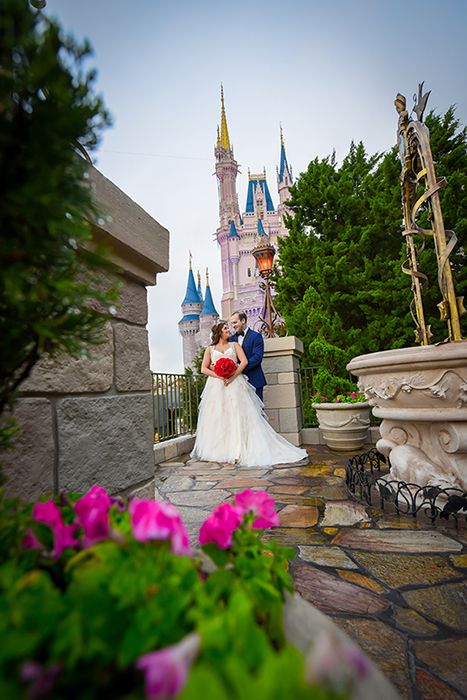 زفاف - Disney Wedding
