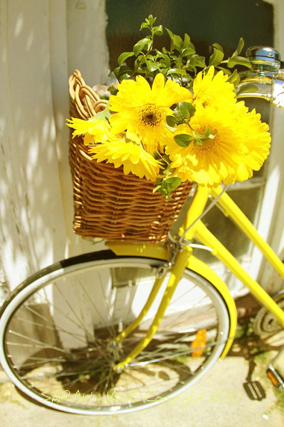 زفاف - Vintage Yellow Bike With Basket And Gerbera Flowers 10" X 8" Photographic Gloss Print