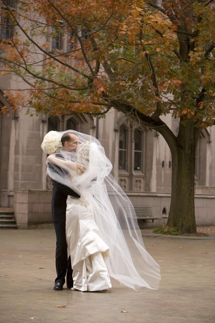 Hochzeit - Classic Cathedral Length Veil