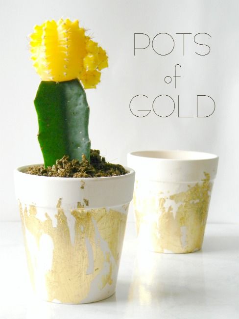 Mariage - Pots Of Gold St. Patrick's Day DIY - LLVH