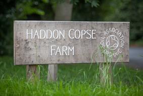 Wedding - Haddon Sign