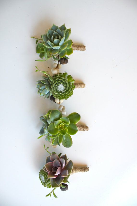 Mariage - 6 Assorted Double Succulent Boutonnieres With Tallow Berry