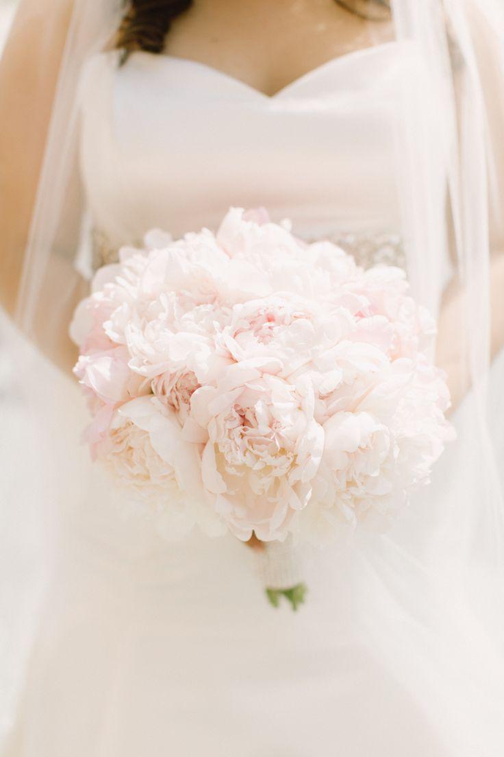 زفاف - Peony Bouquets