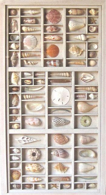 زفاف - Mixed Media Collage, Assemblage, Seashell Wall Sculptural Relief, With Hand Cut Colorful Seashells, A Composition In Reclaimed Type Boxes
