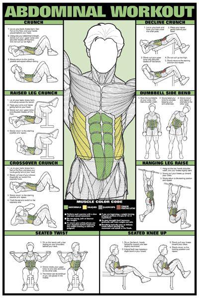 Hochzeit - ABDOMINAL WORKOUT WALL CHART Professional Fitness Training Gym Poster