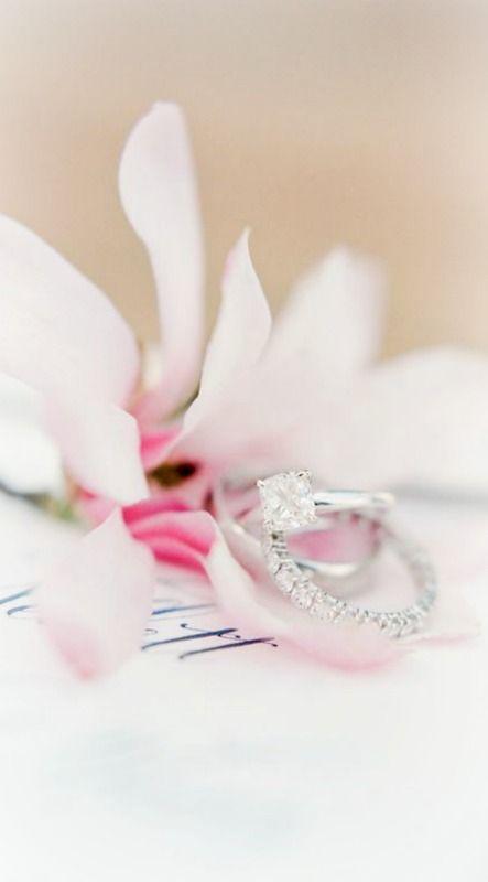 Mariage - Wedding Rings ~ Debbie Orcutt   ❤