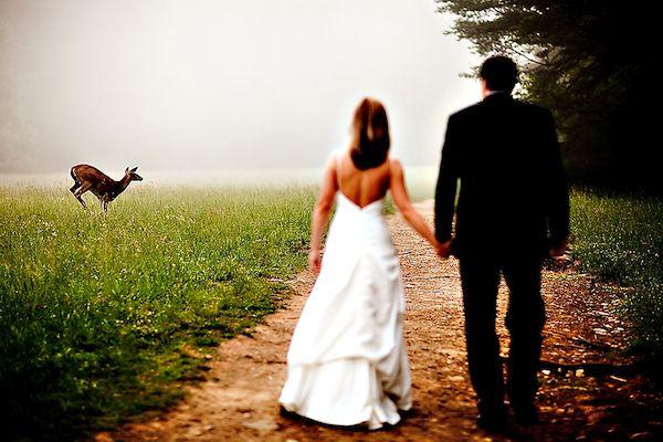 Mariage - That's Genius! 8.9.11 - Wedding Photo By North Carolina Wedding Photographer Tracy Turpen