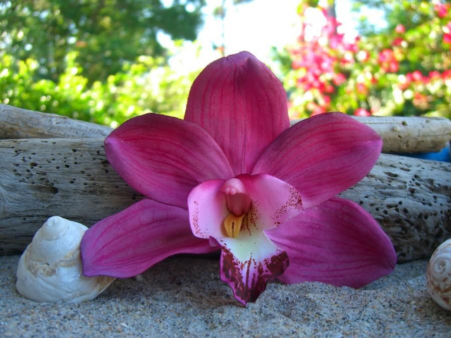 Свадьба - Wedding Orchid Hair Flower Tropical Flower,Beach Wedding Engagement Photo,Fuchsia Flower,Summer Wedding,Hawaiian Flower,Floral Hair Clip