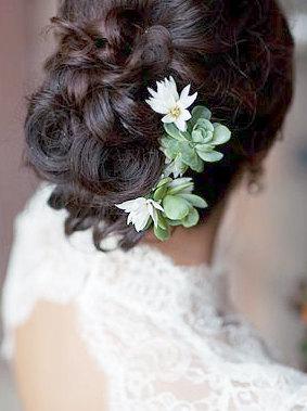 Hochzeit - Succulent Hair Pin. Succulent hair comb. wedding succulent. Bridal succulent hair pin.