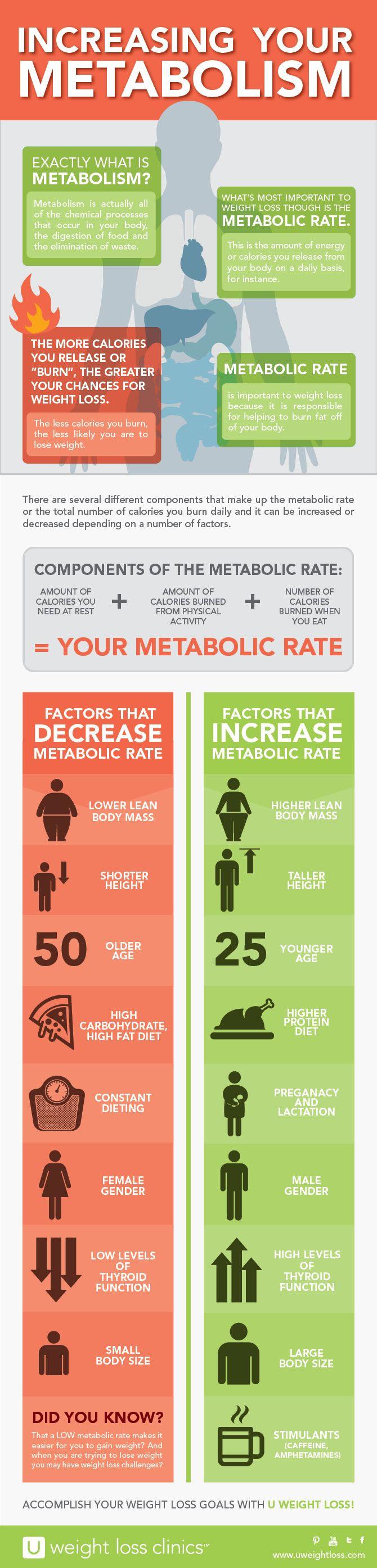 زفاف - All You Need To Know To Increase Metabolism Naturally